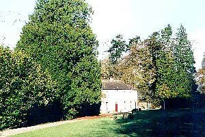 Chrysalis Holistic Centre, Co. Wicklow