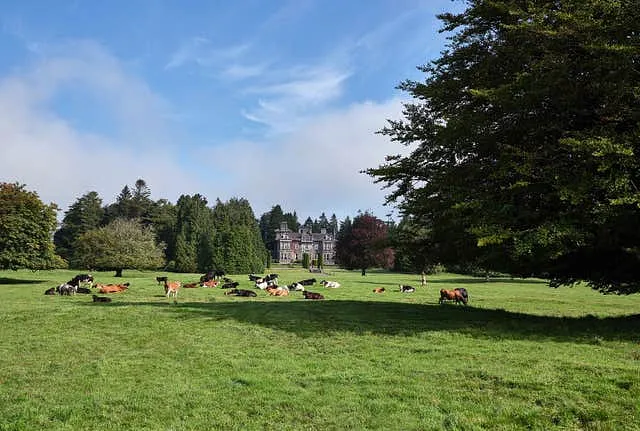 Clonalis House, Co. Roscommon