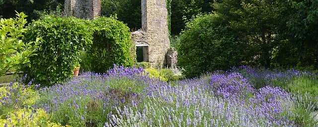 Fairbrook House Garden and Museum, Co. Waterford
