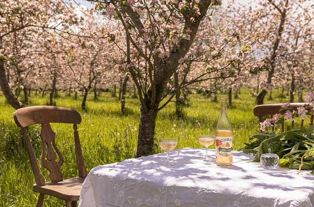 Highbank Organic Orchards, Co. Kilkenny
